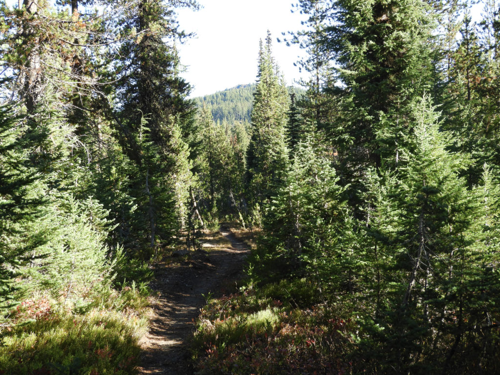 Elk Lake day hikes – day 2 – PCT north – Goatbells.blog