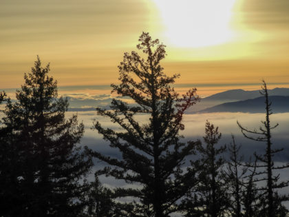 sunrise over the fog