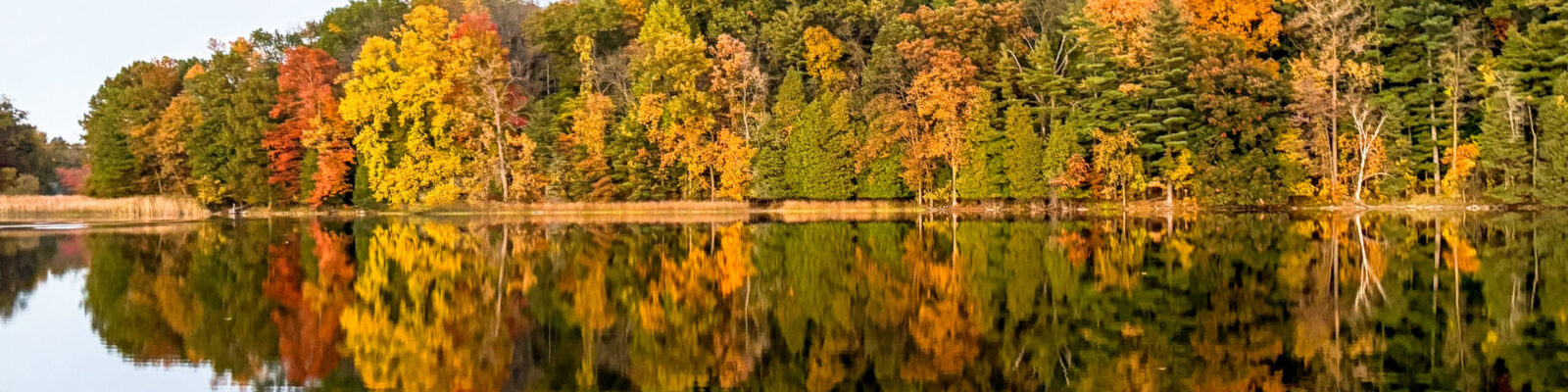 colored trees along the lake shore