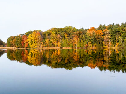 colored trees along the lake shore