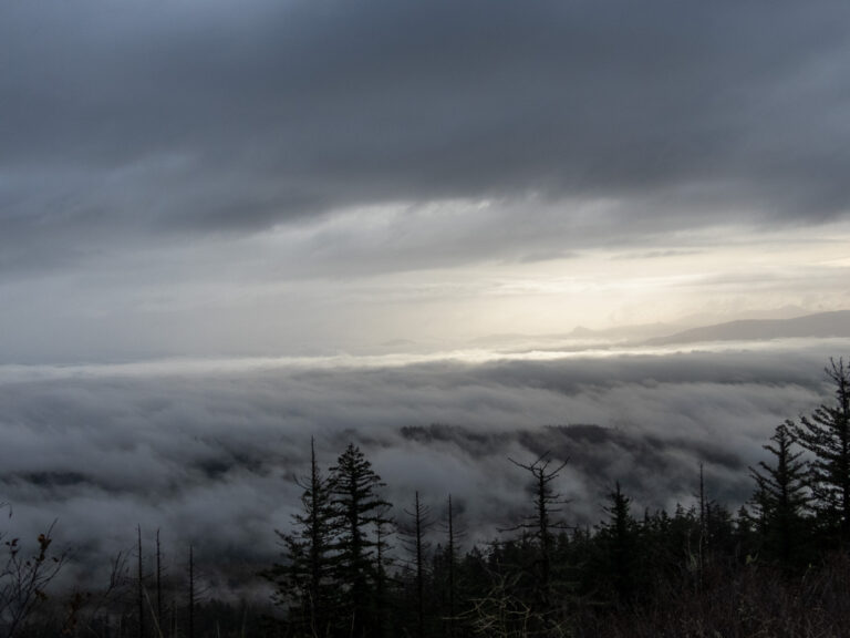 Spencer Butte between fog layers